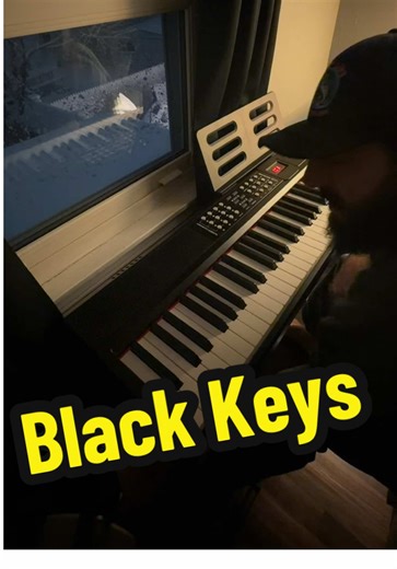 Unleash Your Creativity with the STP 120 Keyboard