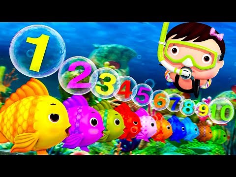 Count to 10! 🐟🔢 Back-to-School Numbers Song! | Little Baby Bum