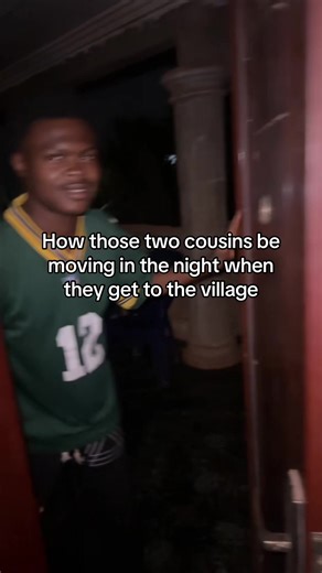 Cousins and Surprises: A Village Christmas Adventure