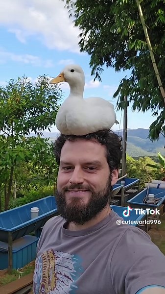 Hilarious Moments with My Pet Duck Adam