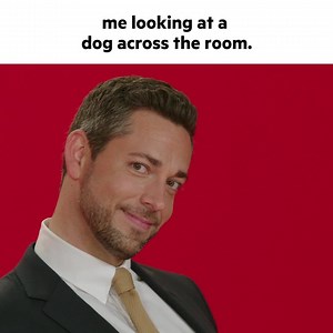 281K views · 213 reactions | We truly do not deserve dogs  | MTV Movie & TV Awards | Facebook