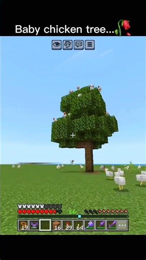Baby chicken tree🐔 #viral #trending #voidkyrex