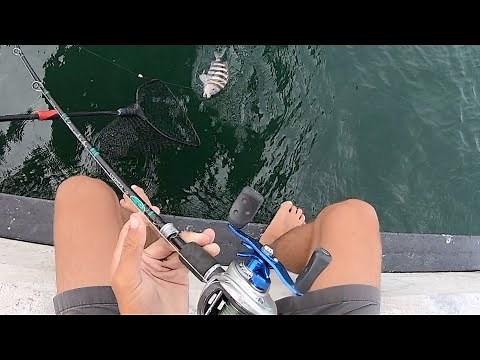 Oregon Inlet Outer Banks Sheepshead Fishing