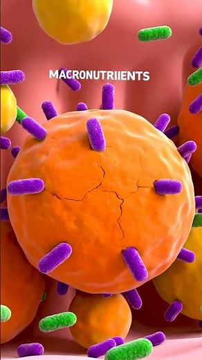 Why Your Poop Floats | Surprising Digestive Facts! #shorts #facts