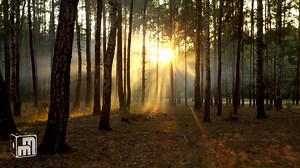 1.1K views | Our sale is coming to an end. Make sure to shop our Black Friday Sale before it's gone: https://bit.ly/3o3FzBA | Miniature Market | Facebook