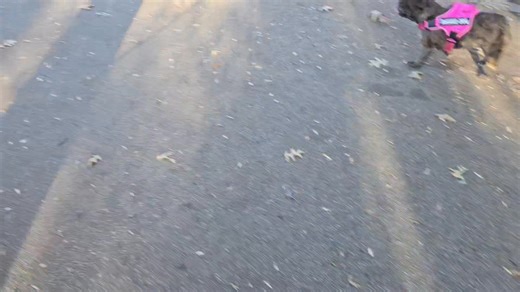 Shane Phillips on Reels