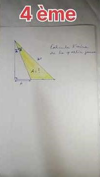 4th grade math lesson #math angle bisector #area of ​​triangle #right triangle