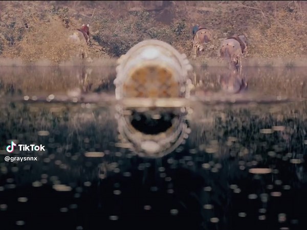 Exploring Love, Death, and Robots: A Unique Edit