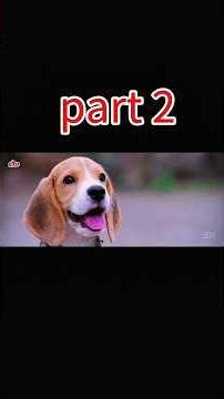 Tommy (The Lovely Dog) Hindi DubbedMovie | Exclusive Release |RajendraPrasad: Emotional DogStory