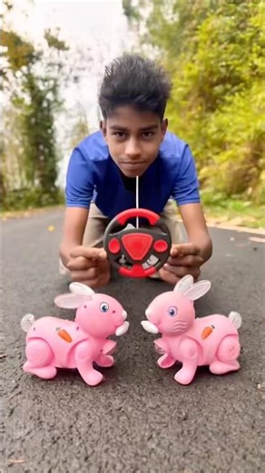 Amar notun 2Ta Remote Control Rabbit unboxing 😱