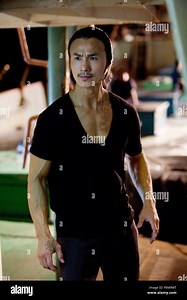 Robin shou as gen film title street fighter hi-res stock photography and images - Alamy