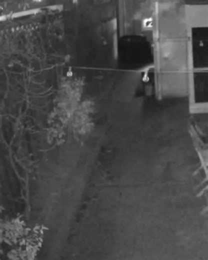 Feel safer with technology that doesn’t wait. Brinks Home gives you free professional installation, real-time notifications, and a monitoring team ready to act the moment trouble is detected. | Brinks Home