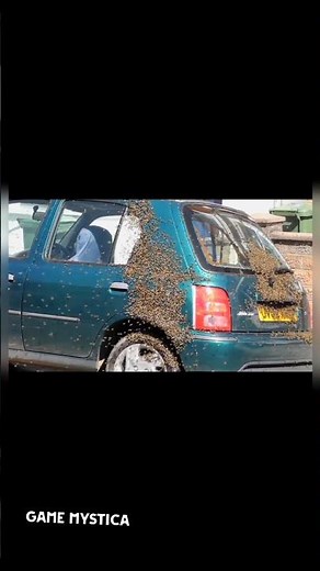 Why Are Thousands of Bees Swarming Your Car? 🐝🚗