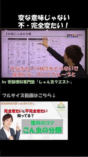 【理科のコツ「こん虫の分類」】完全変態 vs 不完全変態【受験理科専門塾しゅん吉クエスト】