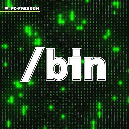[I want to know what's inside the OS ②] /bin directory #linux #os #system #shorts