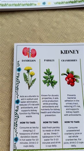 Your kitchen companion for quick, effective natural remedies. Never feel lost looking for the right herbal remedy again. These beautifully illustrated, laminated recipe cards guide you step-by-step to make effective natural solutions for common health concerns like joint pain, high blood sugar, memory loss and more. ✅ Recipes backed by science ✅ Durable, waterproof laminated cards ✅ Clear dosage and synergy instructions ✅ Covers top health issues like arthritis, heart health, respiratory wellnes