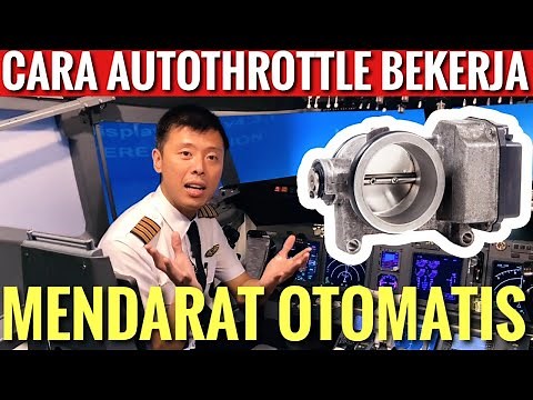 AUTOMATIC LANDING PLANES - WHAT EFFECT DO AUTOPILOT AND AUTOTHROTTLE OF A BOEING 737 HAVE ON WORK...