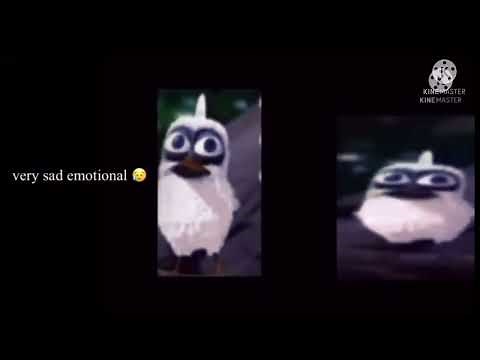 two birds on a wire meme earrape original good quality I think super sad