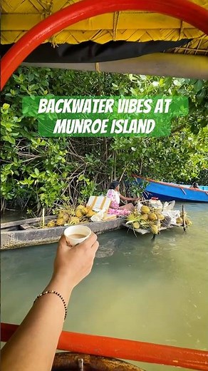 Chai on the Boat ☕🚤 | Backwater Vibes at Munroe Island #keralatourism #munroeisland
