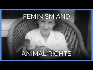 Feminism and Animals Rights