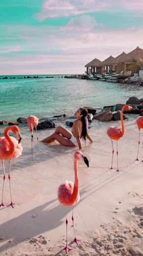 Discover the Renaissance Aruba experience. #RenAruba #travelgram #RenHotels #Aruba #OneHappyIsland #MarriottResorts #MarriottBonvoy #InstaTravel #InstaMoment #Pool #Sun #Lifestyle #Happiness #Caribbean #Island #Tropical | Renaissance Wind Creek Aruba Resort