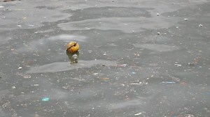 Water Pollution Images – Browse 2,024,468 Stock Photos, Vectors, and Video