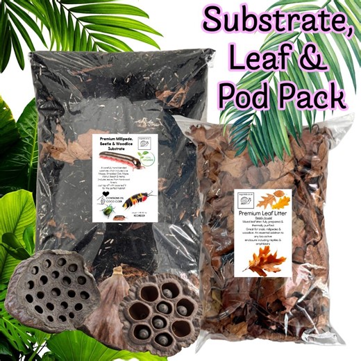 Millipede and Isopod Substrate, Leaf Litter & Pod Pack - Etsy UK
