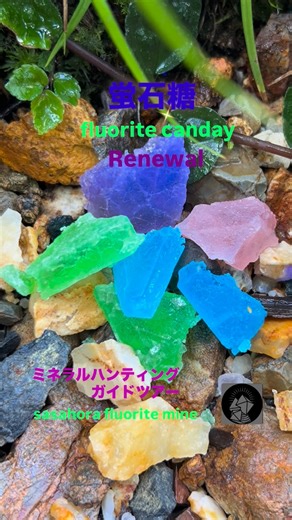 笹洞蛍石鉱山 on Instagram: "#蛍石 #鉱物 #鉱物採集 #笹洞鉱山 #fluorite #飛騨金山 #下呂 #下呂温泉 #mineralcollection #minerales #gerostagram #岐阜 #飛騨#東海地方#japan#japantrip#unknownjapan#explorejapan#gifu#treasurehunter"