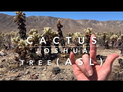 Learn How to Sign the Word Cactus (ASL)