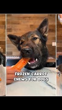 Frozen Carrot Chews For Dogs Recipe🥕🐶