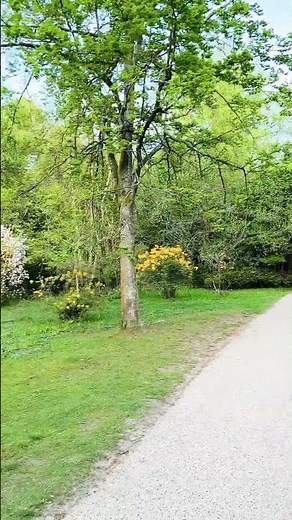 Walking in Tilgate Park Crawley | Best Nature Spot Near London