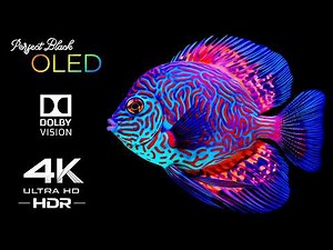 Ultimate 4K OLED Demo | Perfect Black Underwater World (HDR Test)