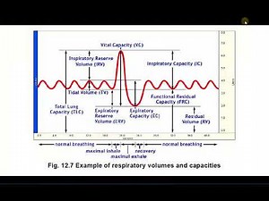 Pulmonary Function and Biopac Tutorial