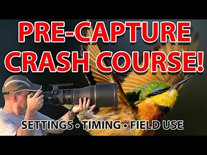 Pre-Capture Explained: Secrets Most Wildlife Photographers Miss!