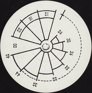 Arcadia - Election Day