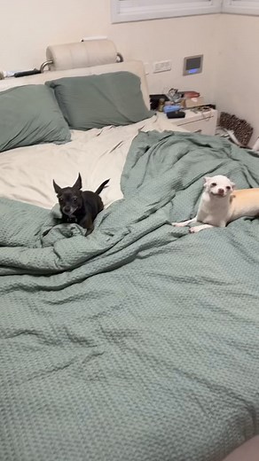 A good conversation | Eviatar With Louis Ozeri | Facebook