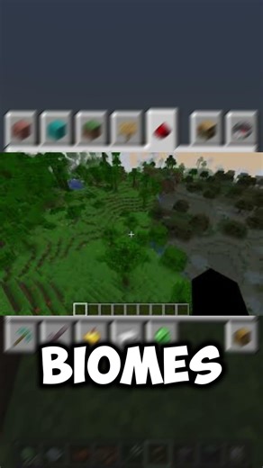 The RAREST Biome in Minecraft 😱🌍