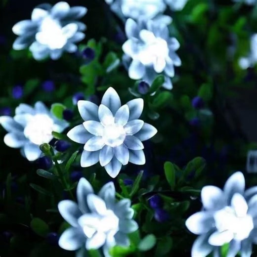 Solar Lotus Flower String Lights - LED Fairy Cherry Blossom Waterproof Outdoor Lighting for Garden, Patio, Fence, Yard & Holiday Decoration - Etsy