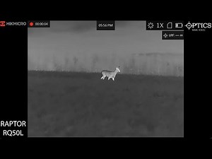 HIKMICRO RAPTOR RQ50L Thermal Fusion Optical IR LRF Binoculars Footage