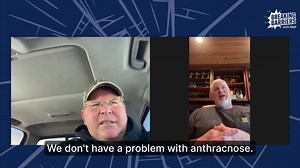 🌱 Planting success starts with the planter! Focus on emergence and pest control from the get-go. Don't skimp on your planter pass - it's crucial for a strong stand and simultaneous emergence. Invest in quality seed treatments, in-furrow fungicides, and insecticides. Tackle stalk rot and anthracnose early. Remember, a solid foundation sets the stage for the entire season. Evaluate your stand and root development as you go. Smart planting practices lead to healthier crops and higher yields. What'