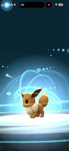 Hoe to Evolve Eevee in Glaceon