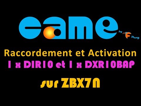 1 paire de DXR10BAP et 1 paire de DIR10 sur ZBX7N CAME