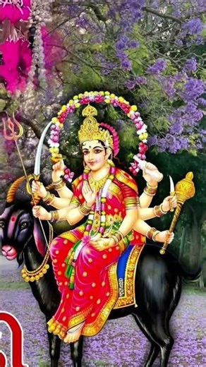 java deje MELDI java deje garib ni meldi ma