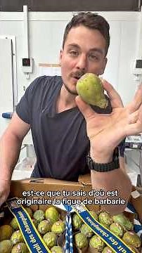 Prickly Pears from Ecuador 😳🌵 | A centuries-old fruit