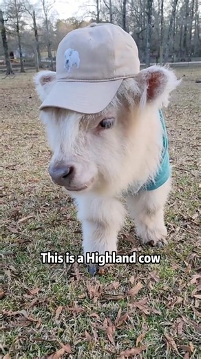 Can I touch this!#usa #popular #science #touch | Science