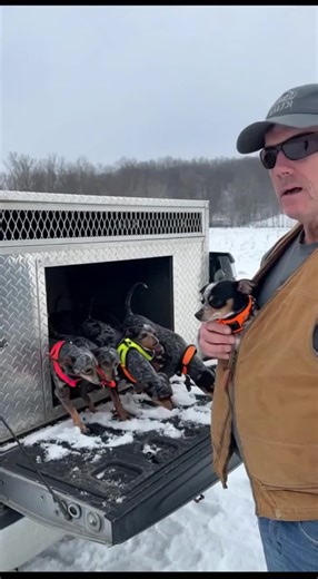 Operating Pocket Pups in Snow: Essential Tips