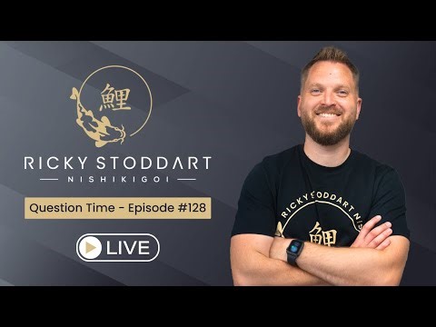 Question Time Live – Koi Pond Q&A with Ricky Stoddart | EP#128