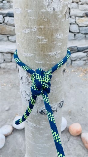 Strong and useful knots for anchoring #adventure #climbing #knot #diy