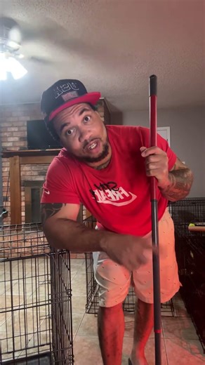 NO DUST, NO FUSS 🧹🐶🧼🫧 #Livehighlight