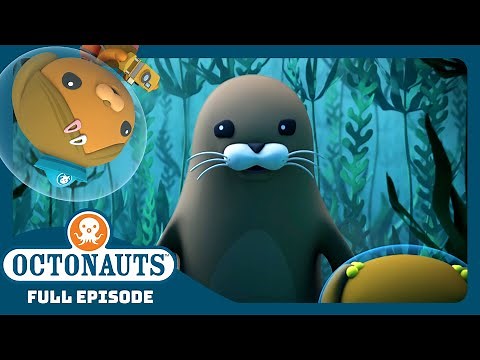 @Octonauts - 🐶 The Kelp Forest Mystery 🔍 | Season 4 | Full Episode | Cartoons for Kids